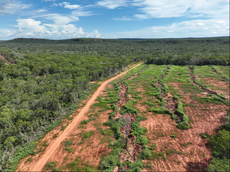 Dia Mundial do Meio Ambiente: os desafios do Piauí para a preservação ambiental