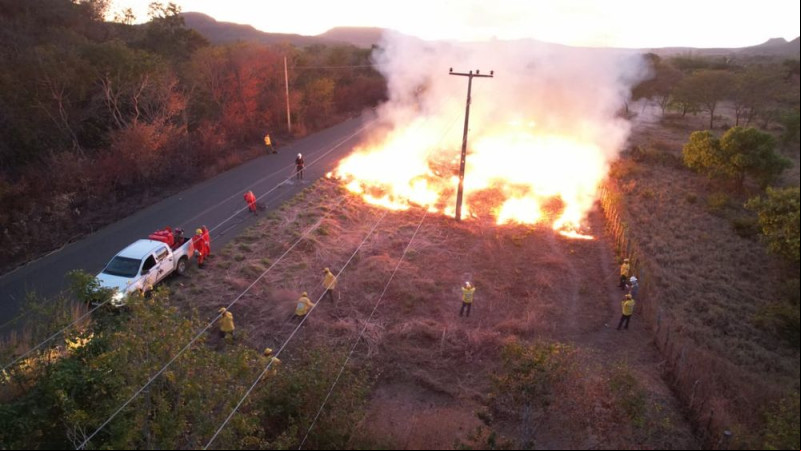 Inteligência artificial é usada para monitorar e prevenir incêndios no Piauí - (Reprodução)