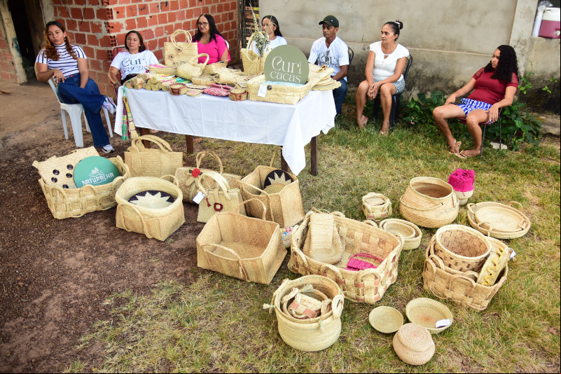 O grupo Curicacas desenvolve linhas de bolsas e objetos de decoração - (Jailson Soares/ODIA)