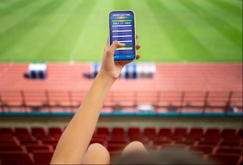 Introdução ao Mundo das Apostas Esportivas no Brasil