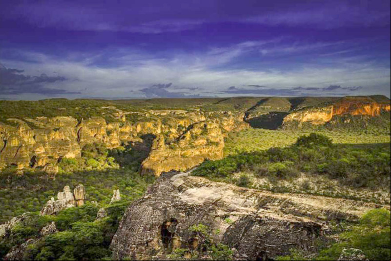 Parque Nacional da Serra da Capivara - (Divulgação/Iphan)