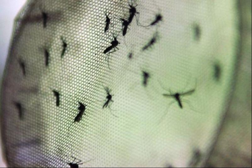 Barras registra três mortes por suspeita de Dengue em um mês; Sesapi envia equipe