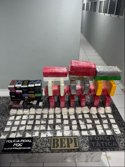 Parte da droga já estava pronta para ser comercializada - (Divulgação/SSP-PI)
