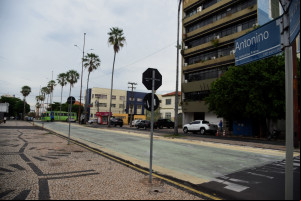 Av. Antonino Freire: conheça a história da menor avenida do mundo