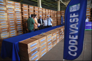 Produção de mel no Piauí deve alcançar R$ 6 milhões com ampliação de colmeias