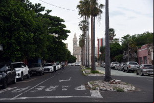 Av. Antonino Freire: conheça a história da menor avenida do mundo