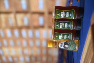 Produção de mel no Piauí deve alcançar R$ 6 milhões com ampliação de colmeias