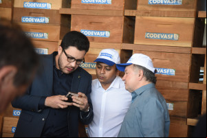 Produção de mel no Piauí deve alcançar R$ 6 milhões com ampliação de colmeias